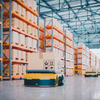 Spring ‘22 Summer and Autumn New